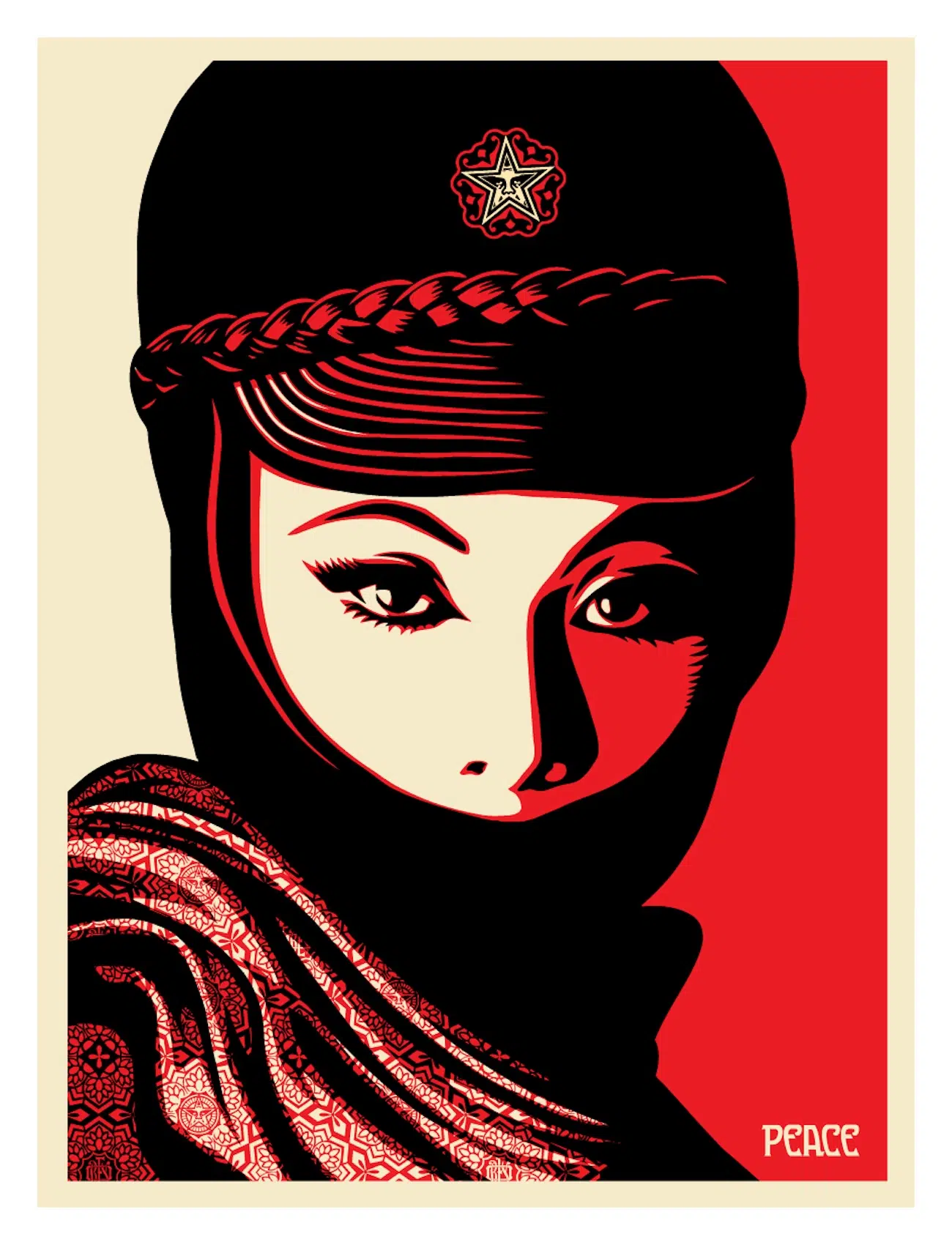 Shepard Fairey Out of Bounds Exhibition