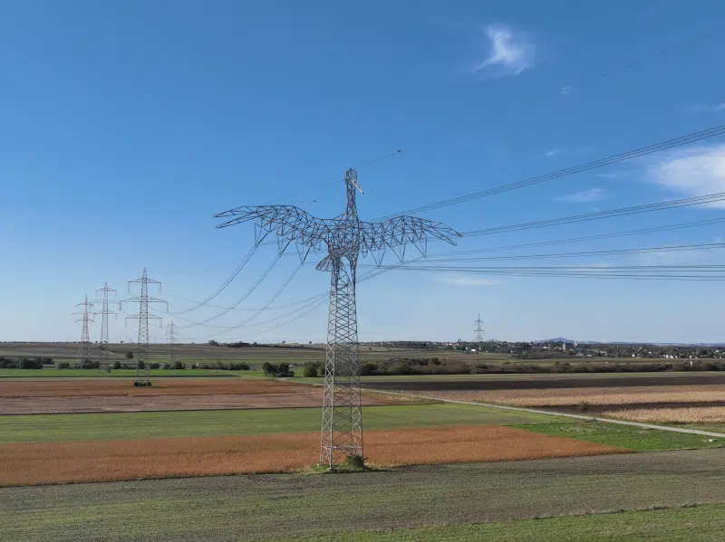 Escultura de pájaro gigante eléctrico austriaco
