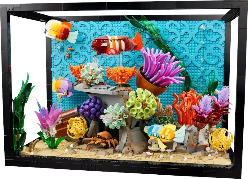 Tropical Aquarium Kit