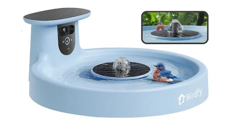 Smart Bird Bath