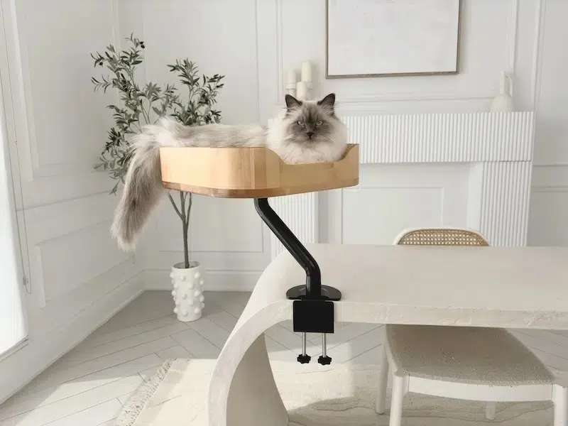 Elevated Cat Bed