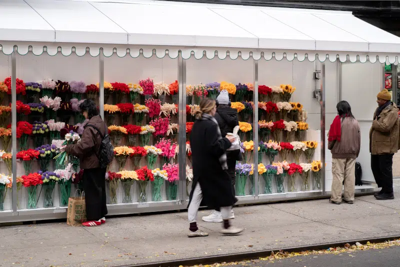 Flower Sho by CJ Hendry