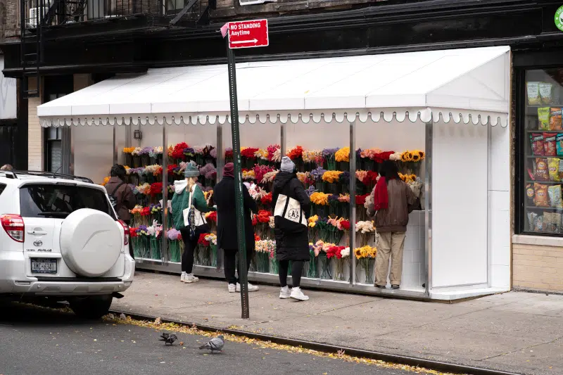 Flower Sho by CJ Hendry