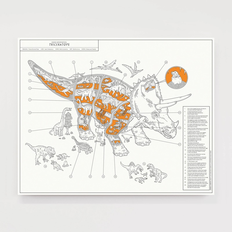 Educational Triceratops Print