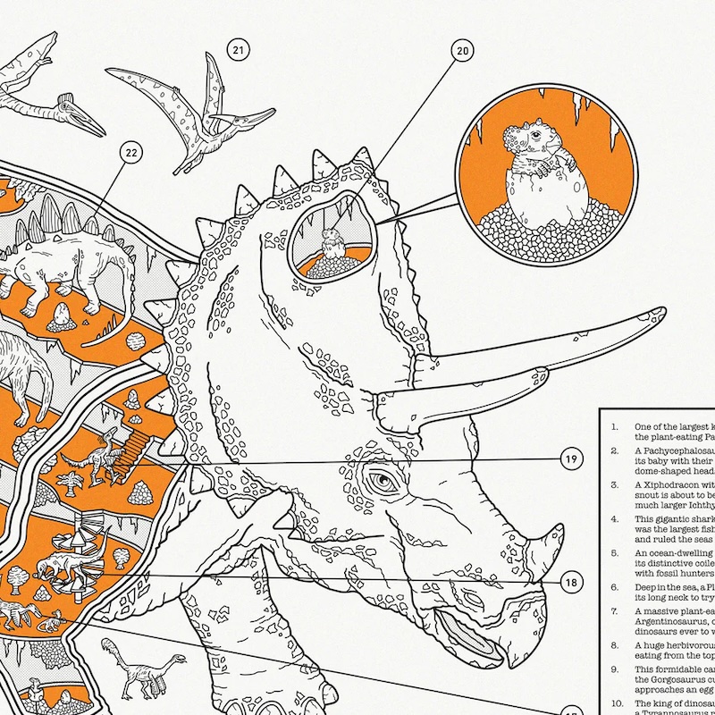 Educational Triceratops Print