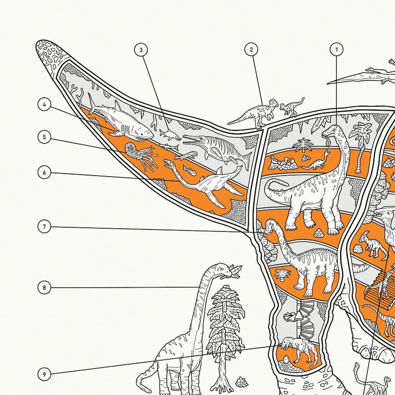 Educational Triceratops Print