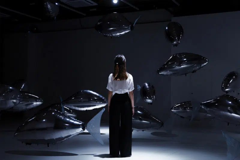 FLOCK OF Flying Fish installation