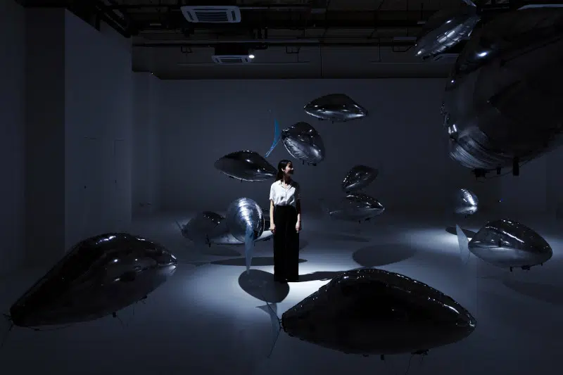 FLOCK OF Flying Fish installation