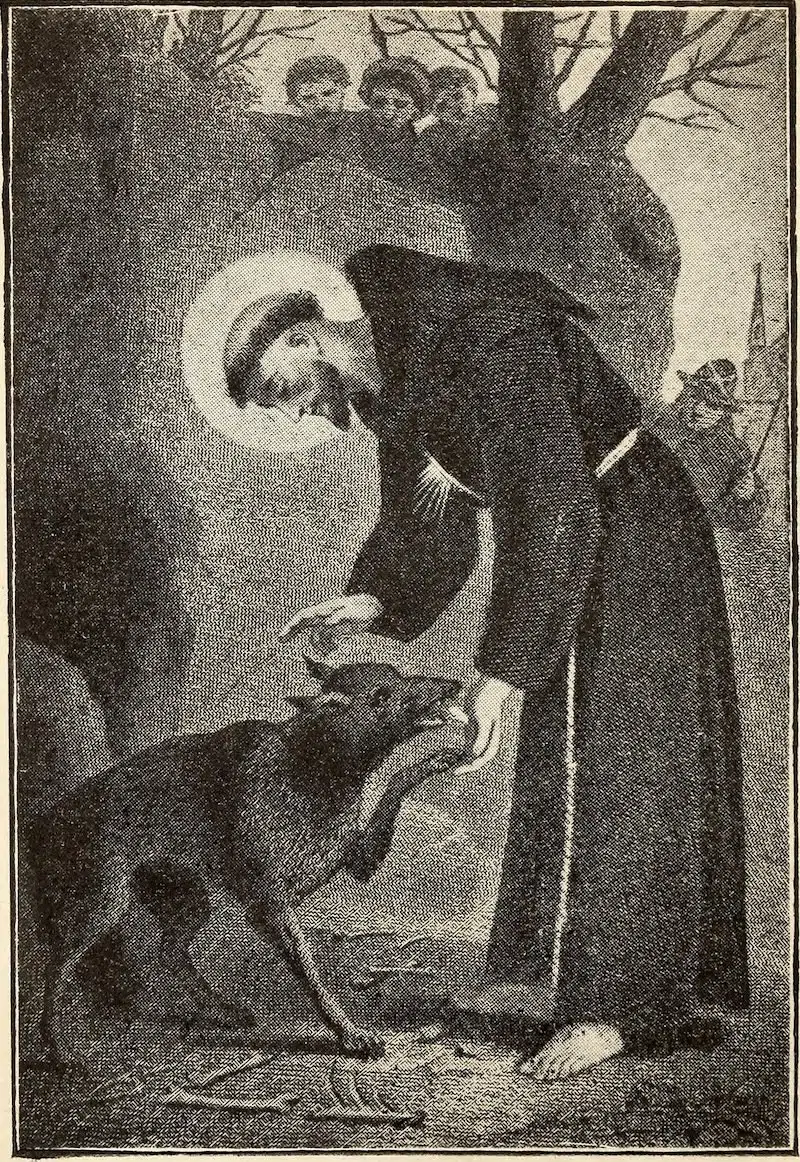 St. Francis Assisi