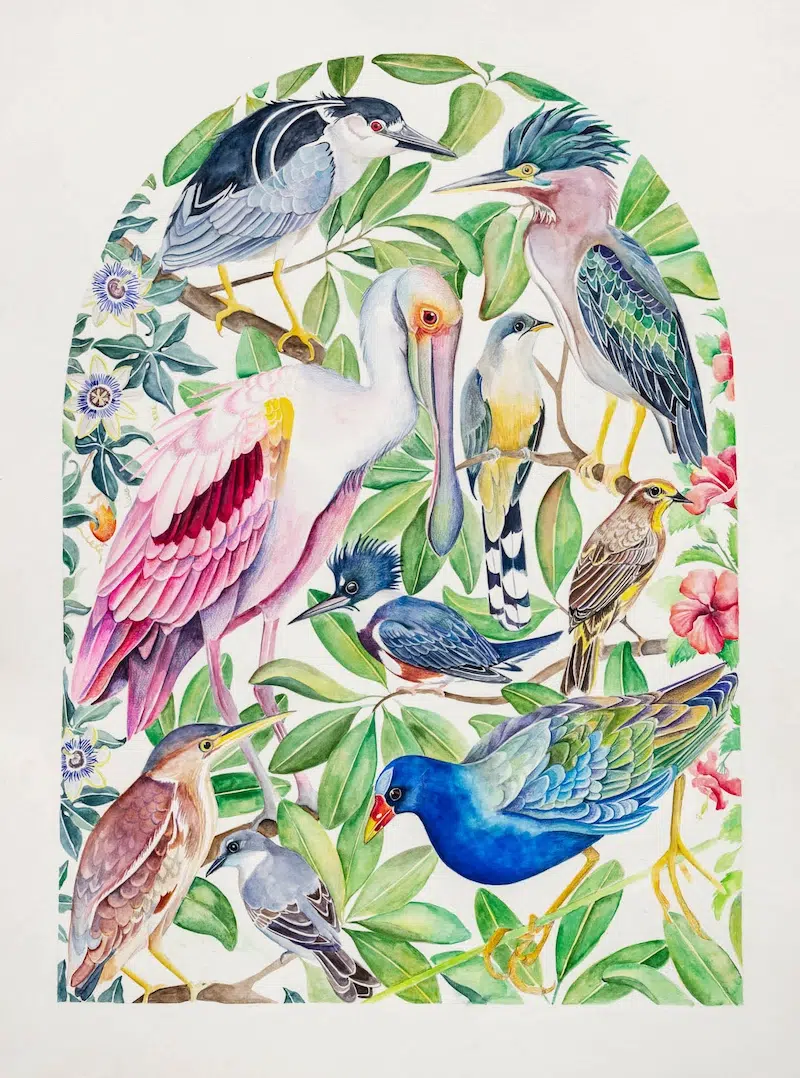 The Illuminated Book of Birds by Robin Crofut-Brittingham