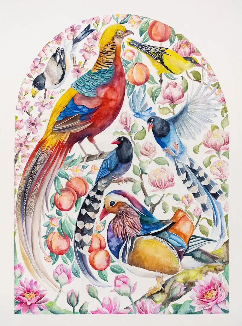 The Illuminated Book of Birds by Robin Crofut-Brittingham