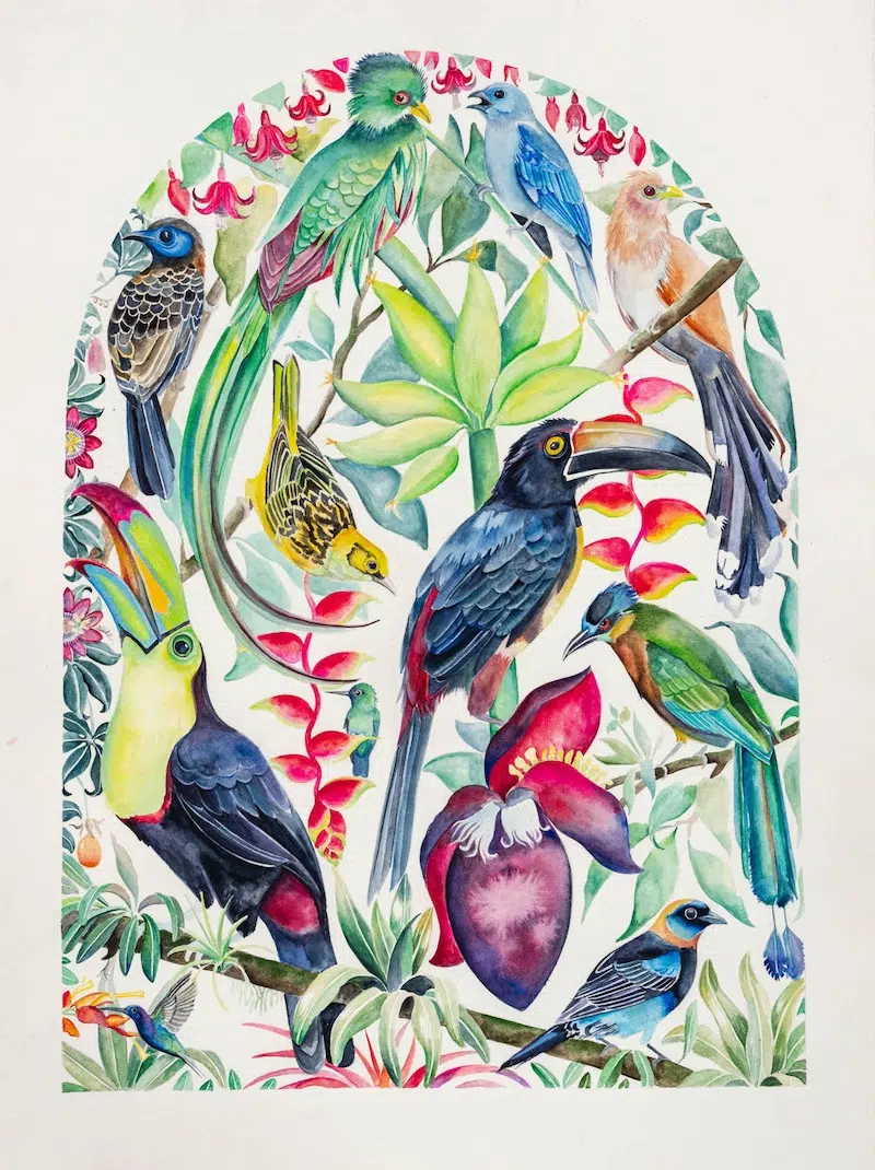 The Illuminated Book of Birds by Robin Crofut-Brittingham