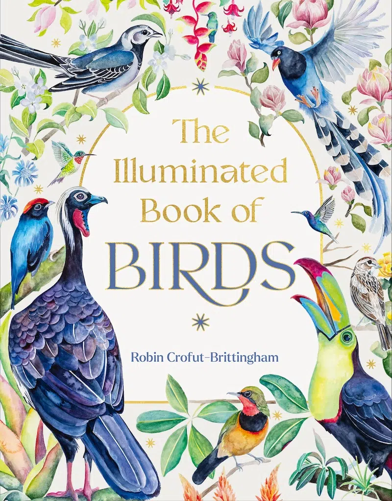 The Illuminated Book of Birds by Robin Crofut-Brittingham
