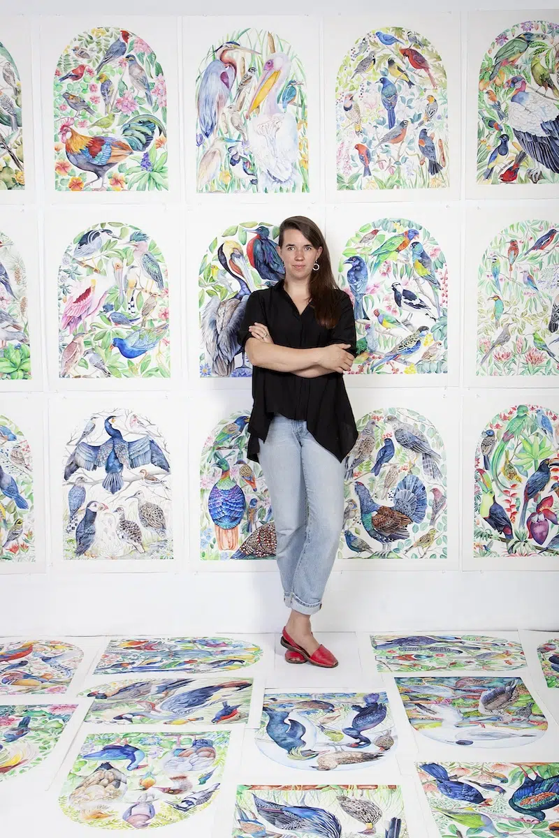 The Illuminated Book of Birds by Robin Crofut-Brittingham