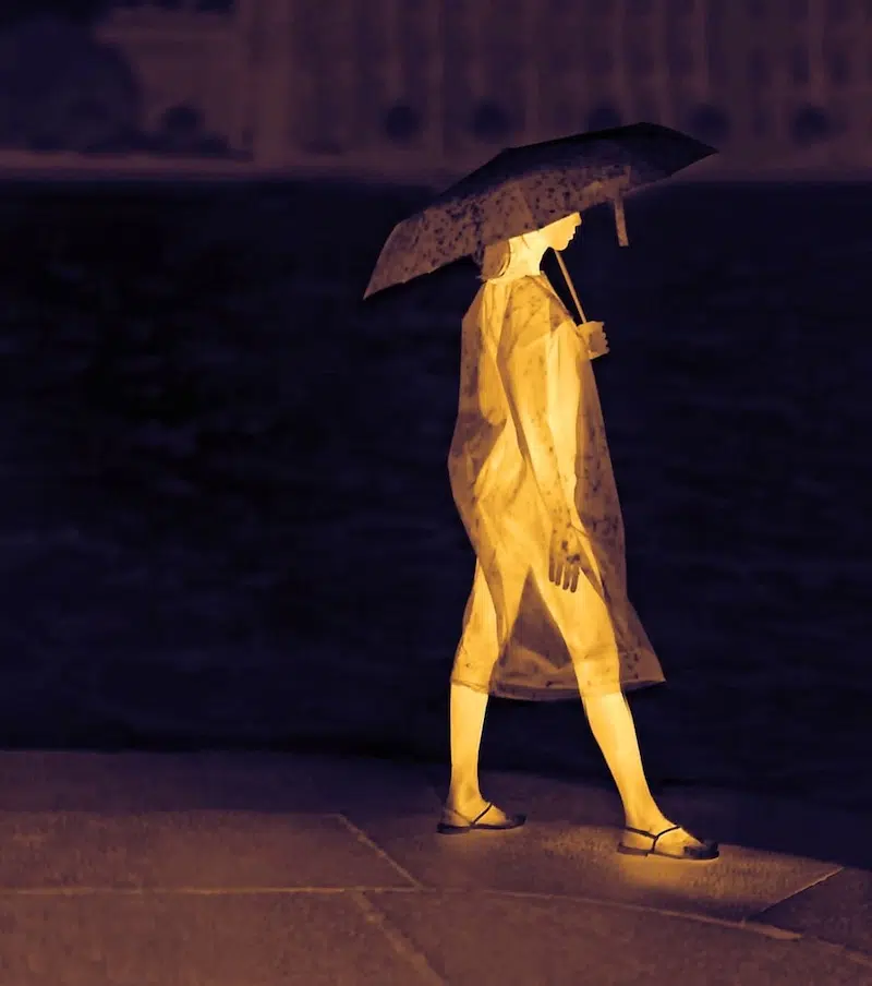 Thermography Paintings by Ivan Pokidyshev