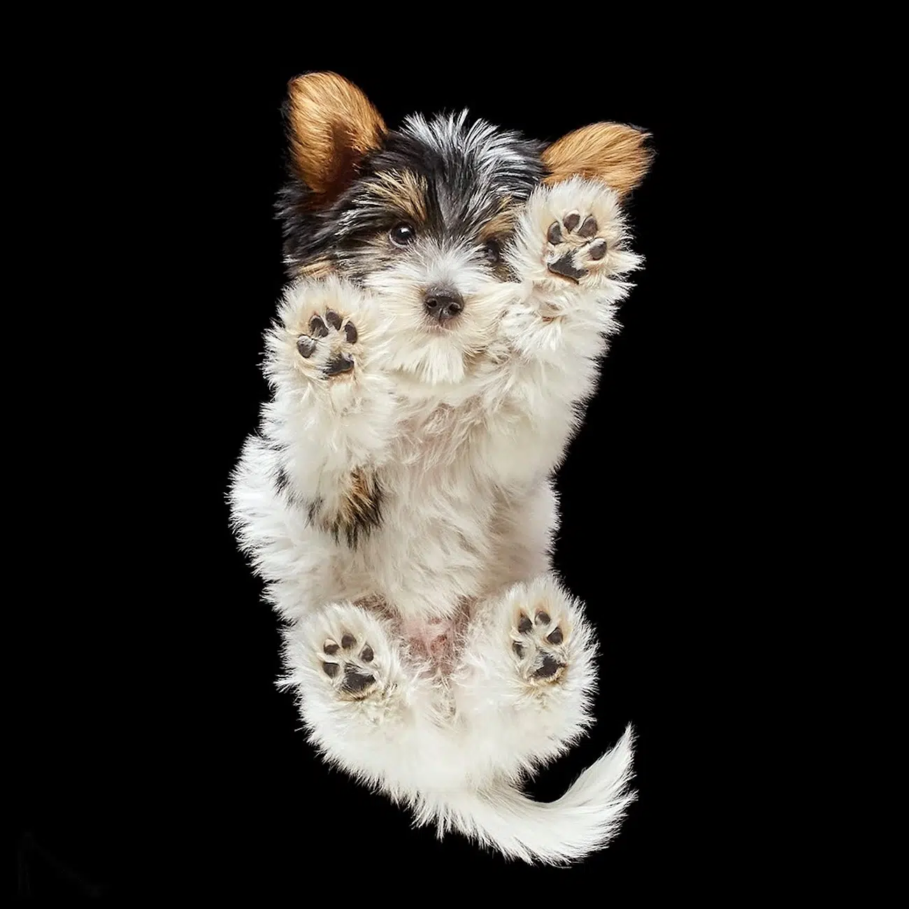 Underlook Project by Photographer Andrius Burbus