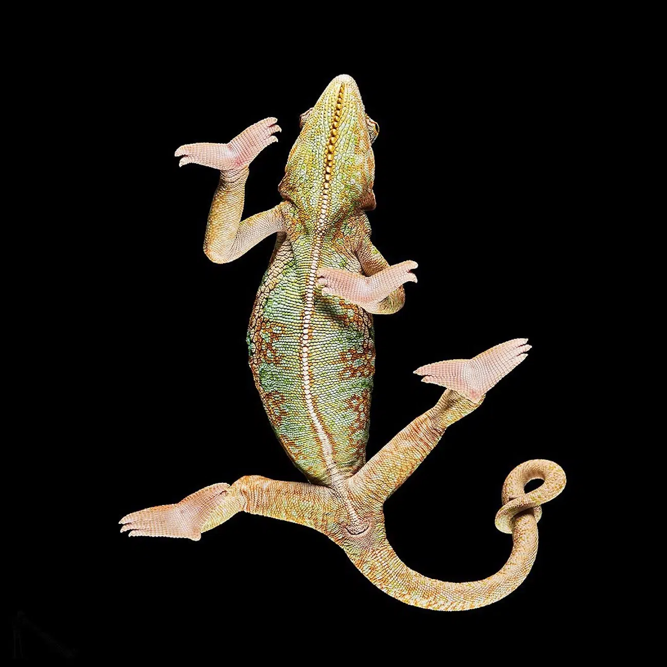 Underlook Project by Photographer Andrius Burbus