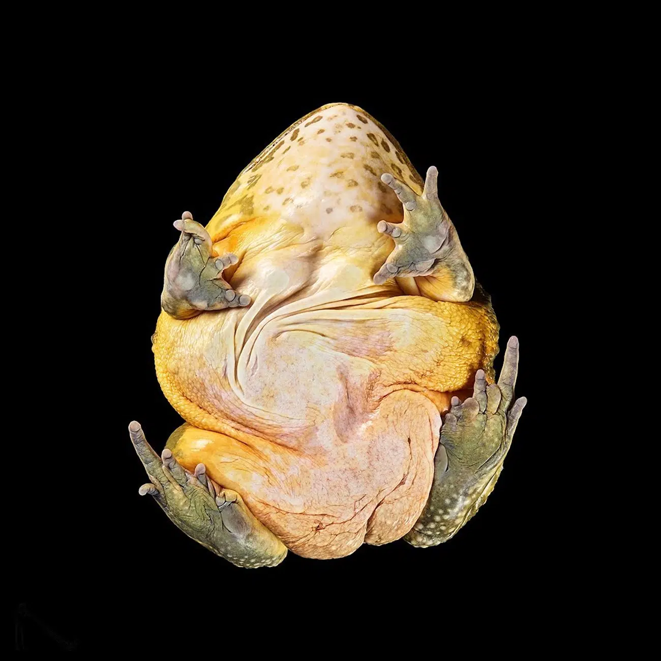 Underlook Project by Photographer Andrius Burbus