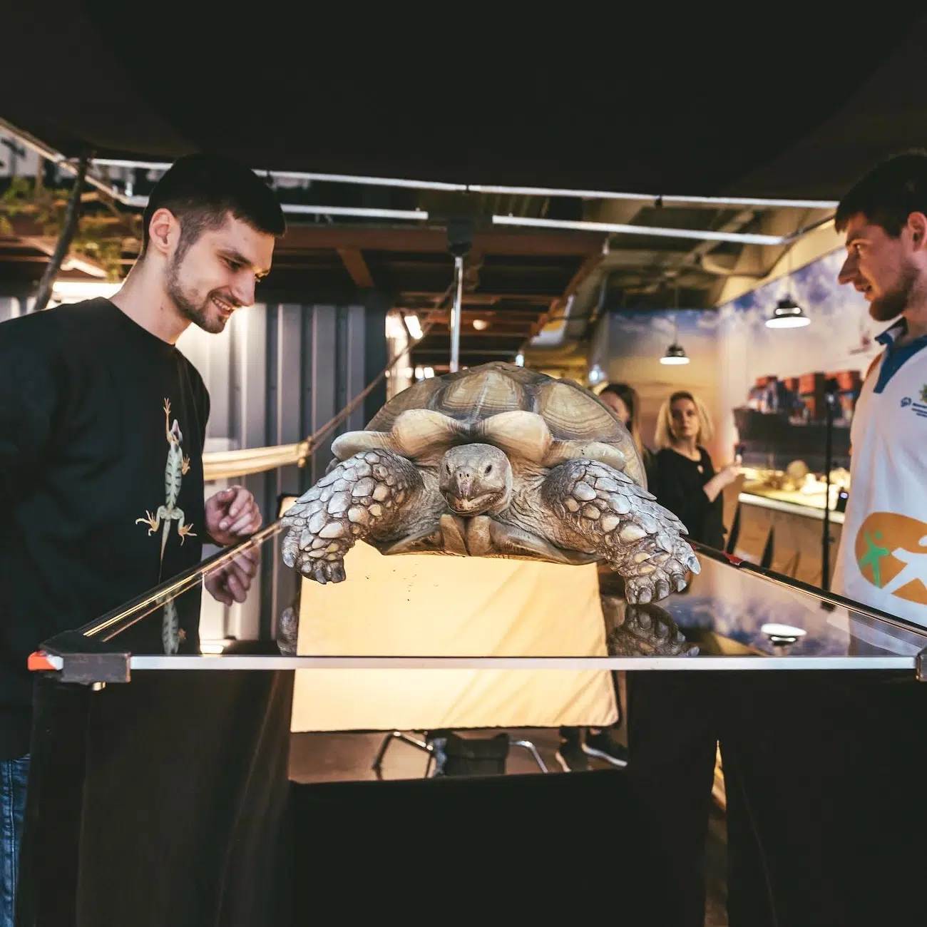 Underlook Project by Photographer Andrius Burbus