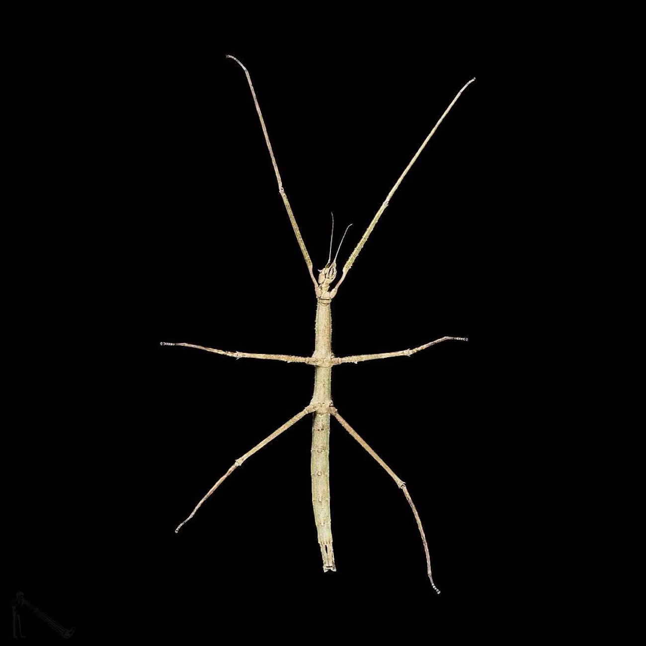 Underlook Project by Photographer Andrius Burbus