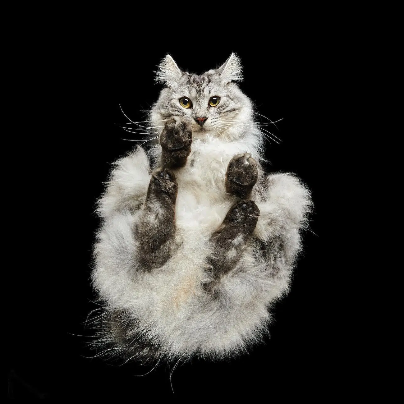 Underlook Project by Photographer Andrius Burbus