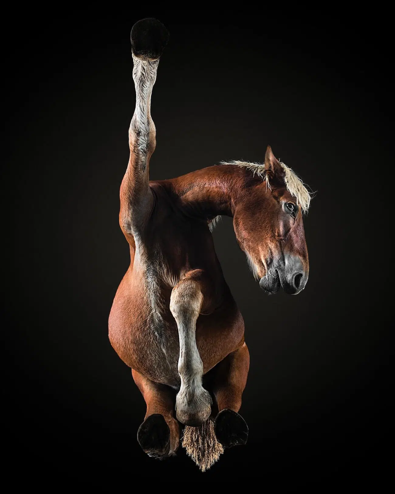 Underlook Project by Photographer Andrius Burbus