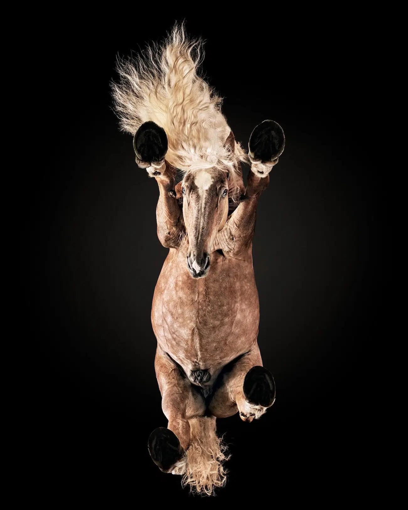 Underlook Project by Photographer Andrius Burbus