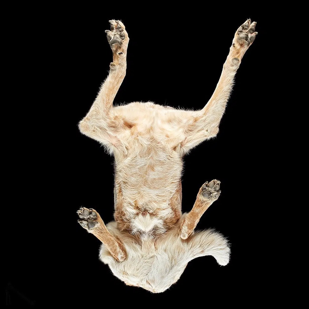 Underlook Project by Photographer Andrius Burbus