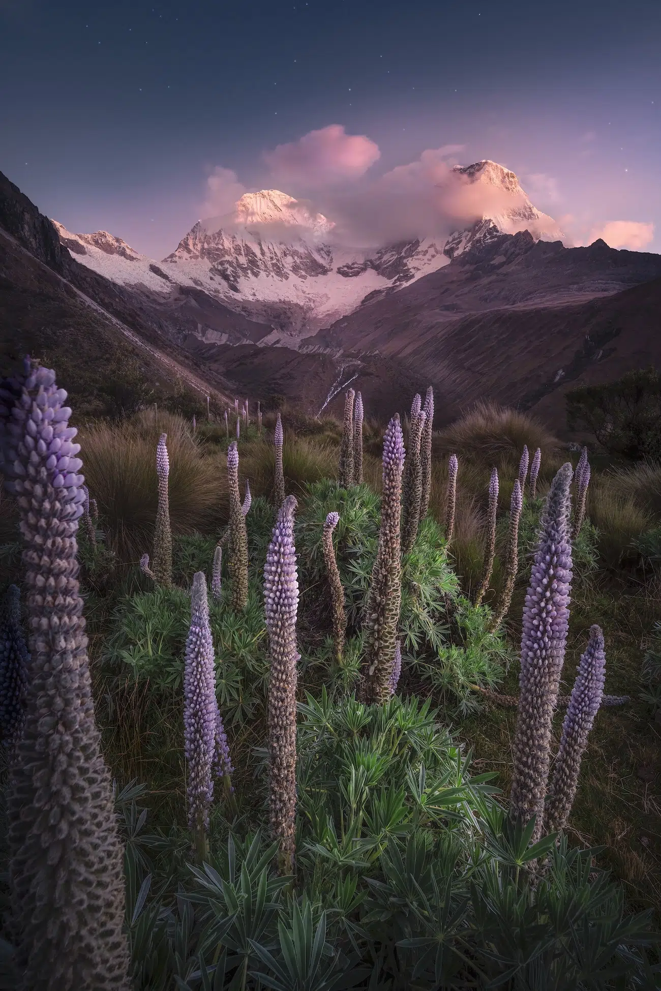 Contemporary Landscape Photography