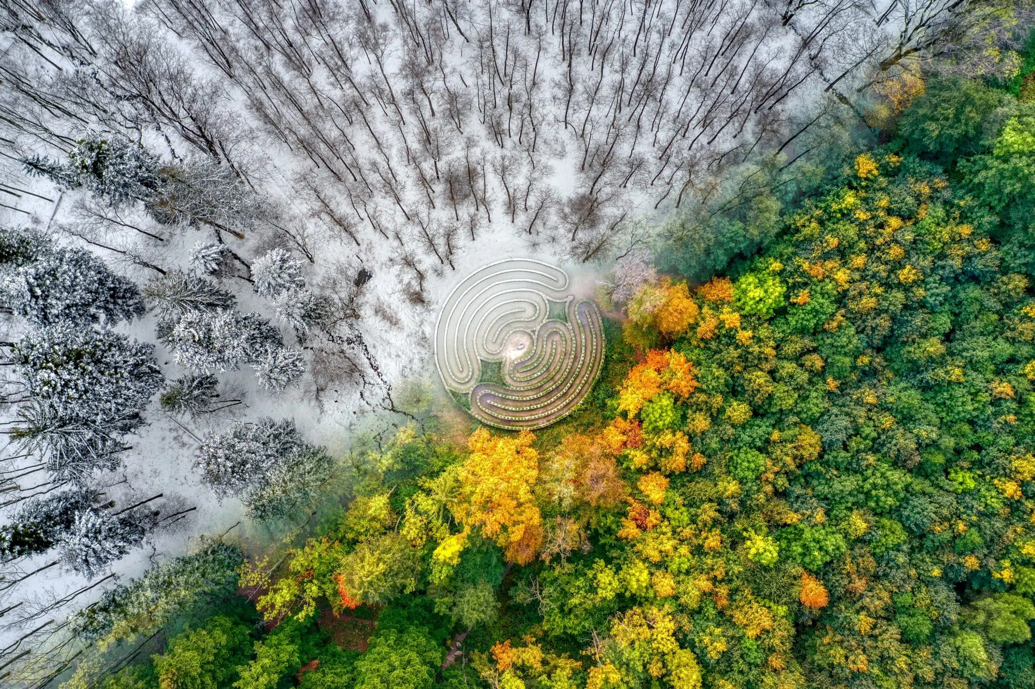 Tomáš Neuwirth, “Labyrinth of Time.” In the park of Priessnitz Spa in the Czech town of Jeseník, there’s a labyrinth structure, which Neuwirth photographed during two different seasons.