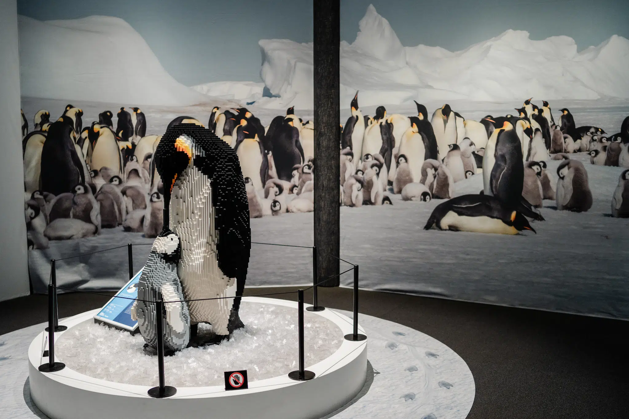 Installation view of “Brick Planet” at the Denver Museum of Nature and Science