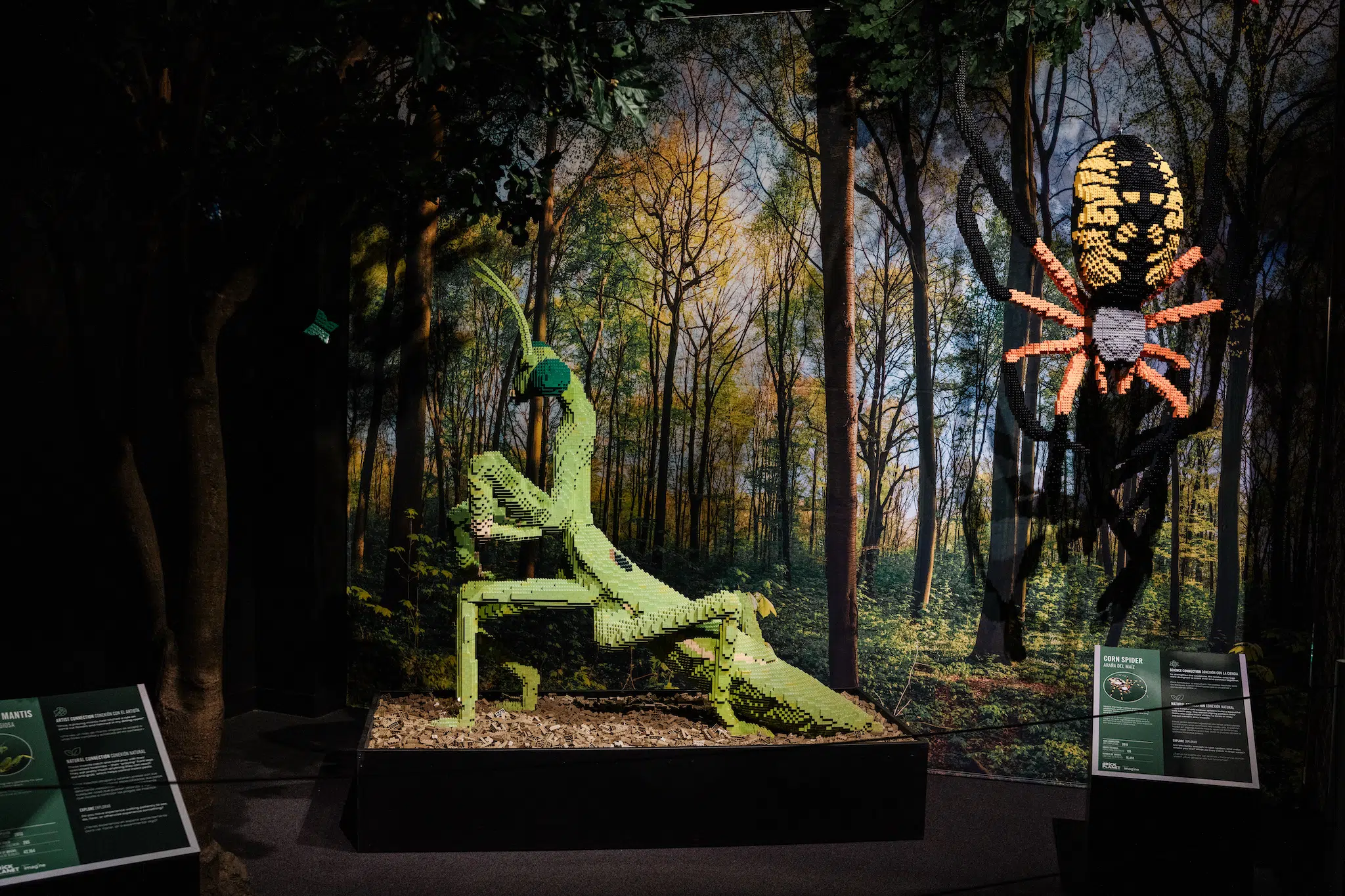 Installation view of “Brick Planet” at the Denver Museum of Nature and Science