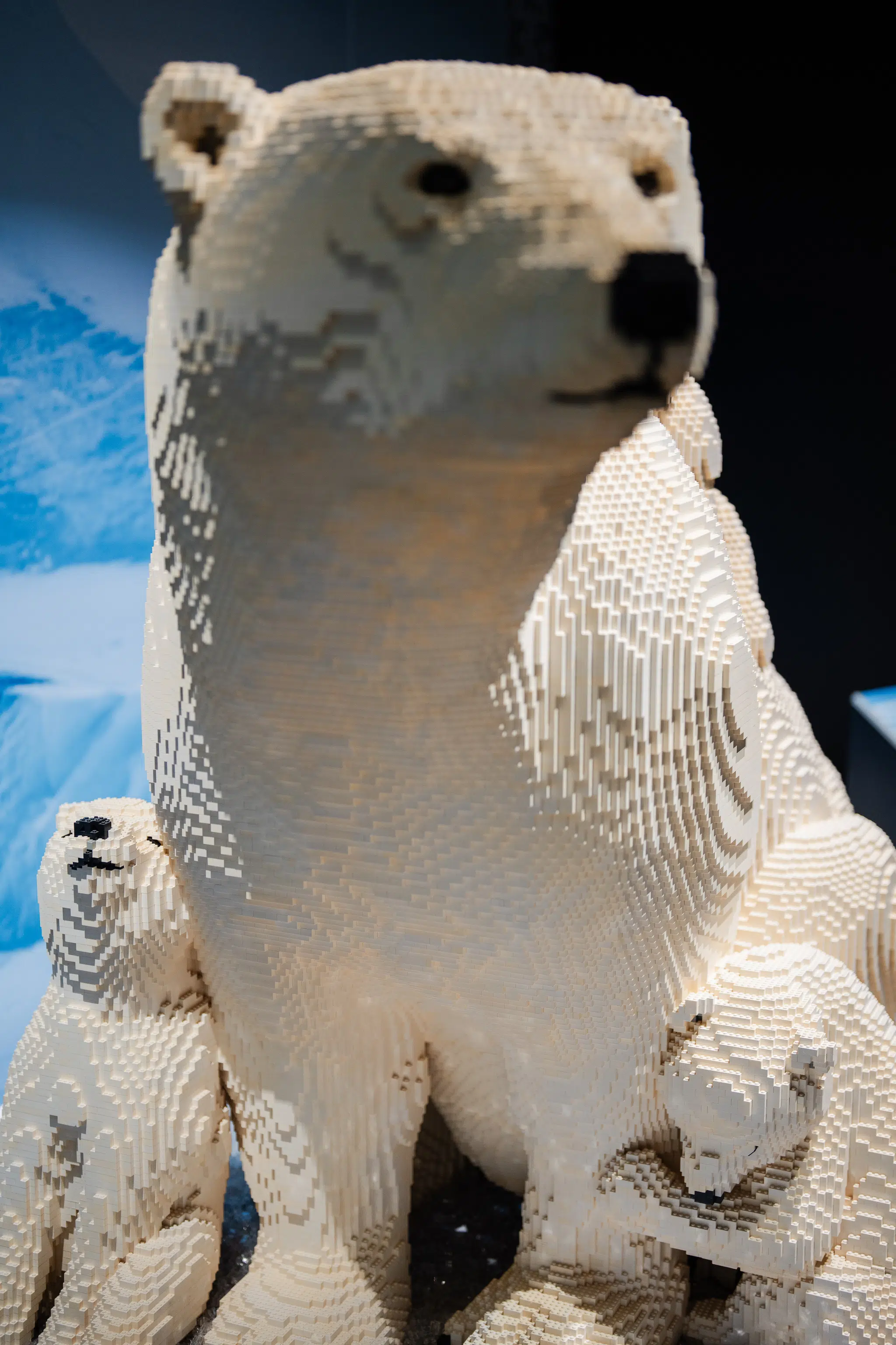 Installation view of “Brick Planet” at the Denver Museum of Nature and Science