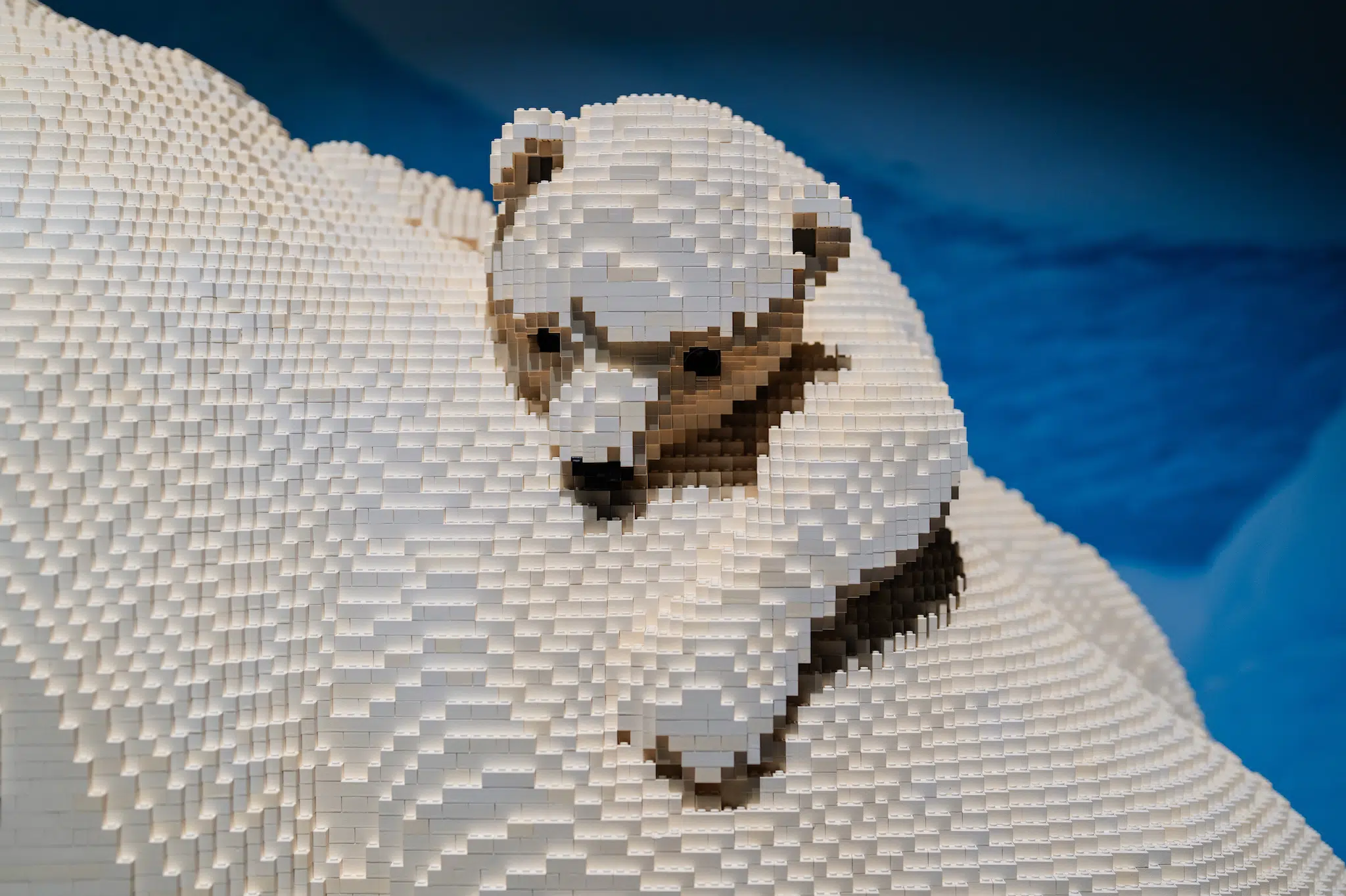 Installation view of “Brick Planet” at the Denver Museum of Nature and Science