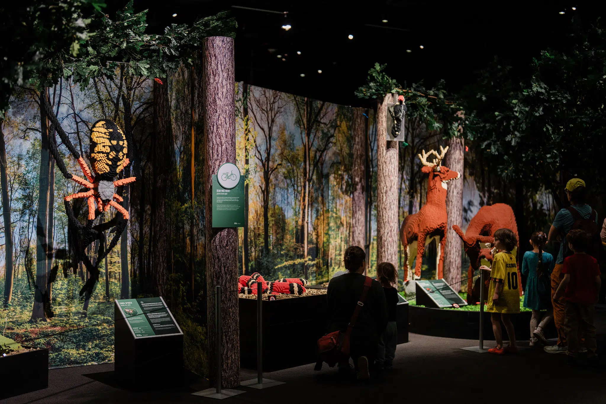 Installation view of “Brick Planet” at the Denver Museum of Nature and Science
