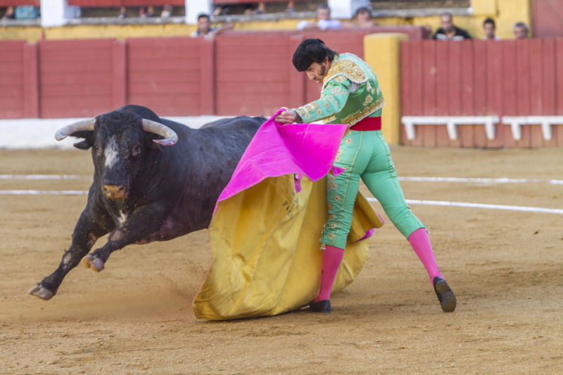 Bullfighter and bull in bullring