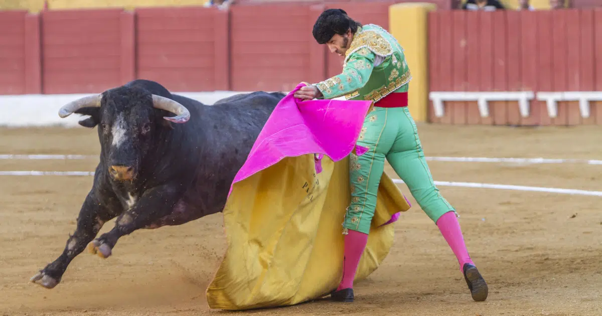 Mexico City, Home to the World’s Largest Bullring, Bans Violence in Bullfighting To Protect Animals