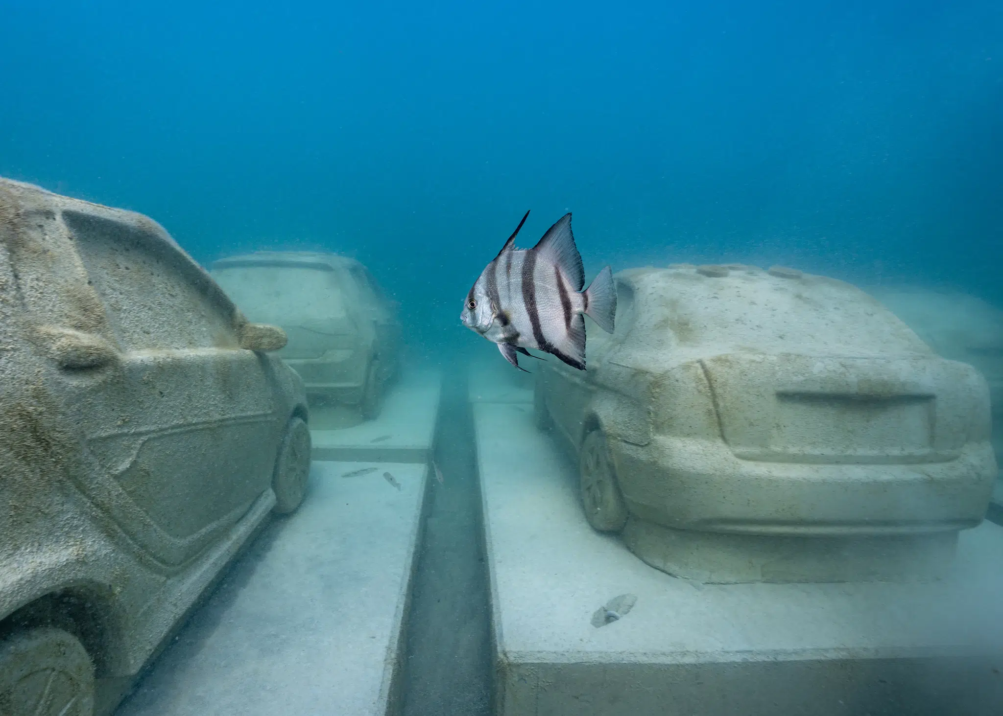 &ldquo;Concrete Coral,&rdquo; 2025, subaquatic installation featuring 22 concrete cars