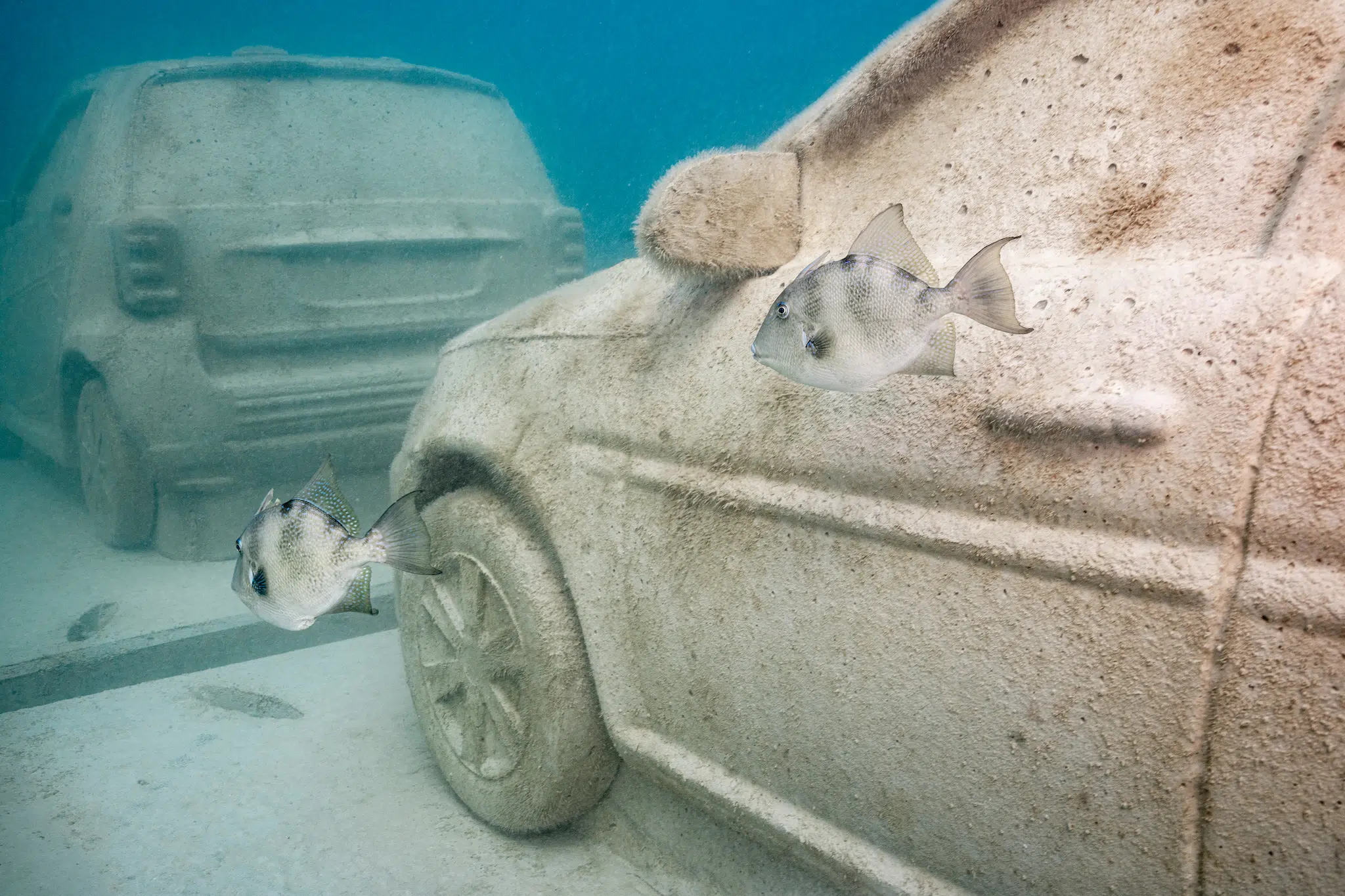 &ldquo;Concrete Coral,&rdquo; 2025, subaquatic installation featuring 22 concrete cars