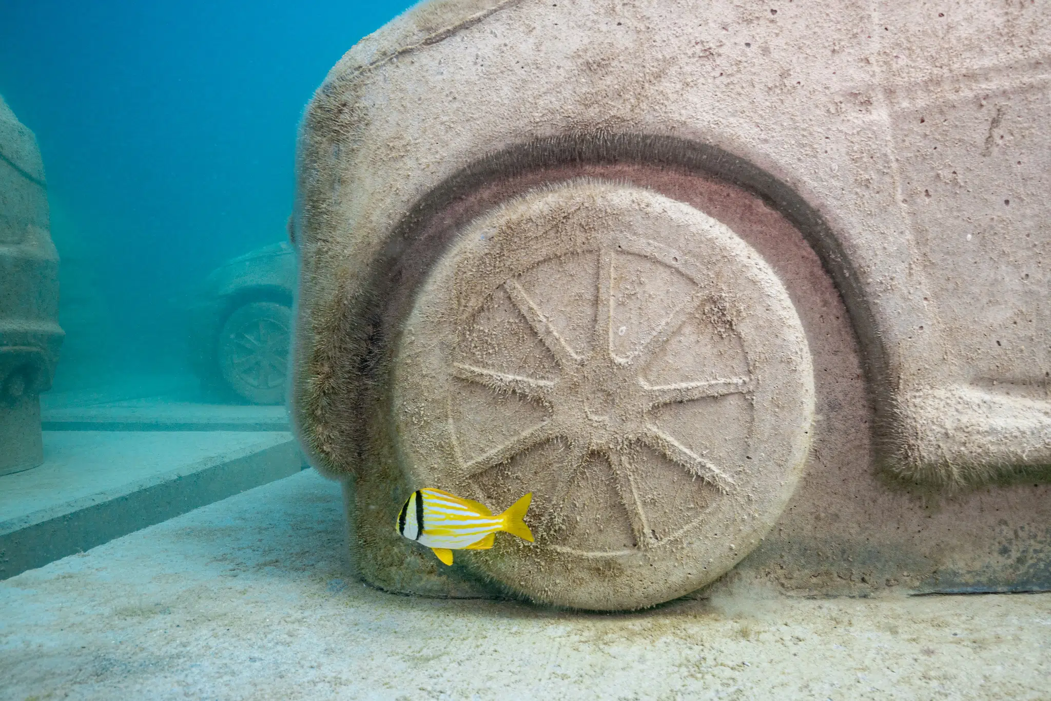 &ldquo;Concrete Coral,&rdquo; 2025, subaquatic installation featuring 22 concrete cars