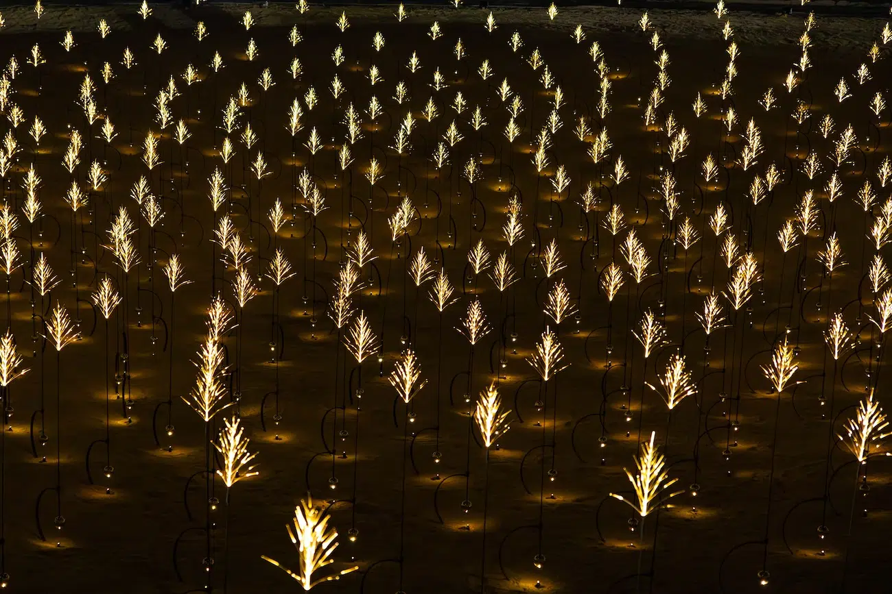 Drone Light Show by DRIFT in Abu Dhabi