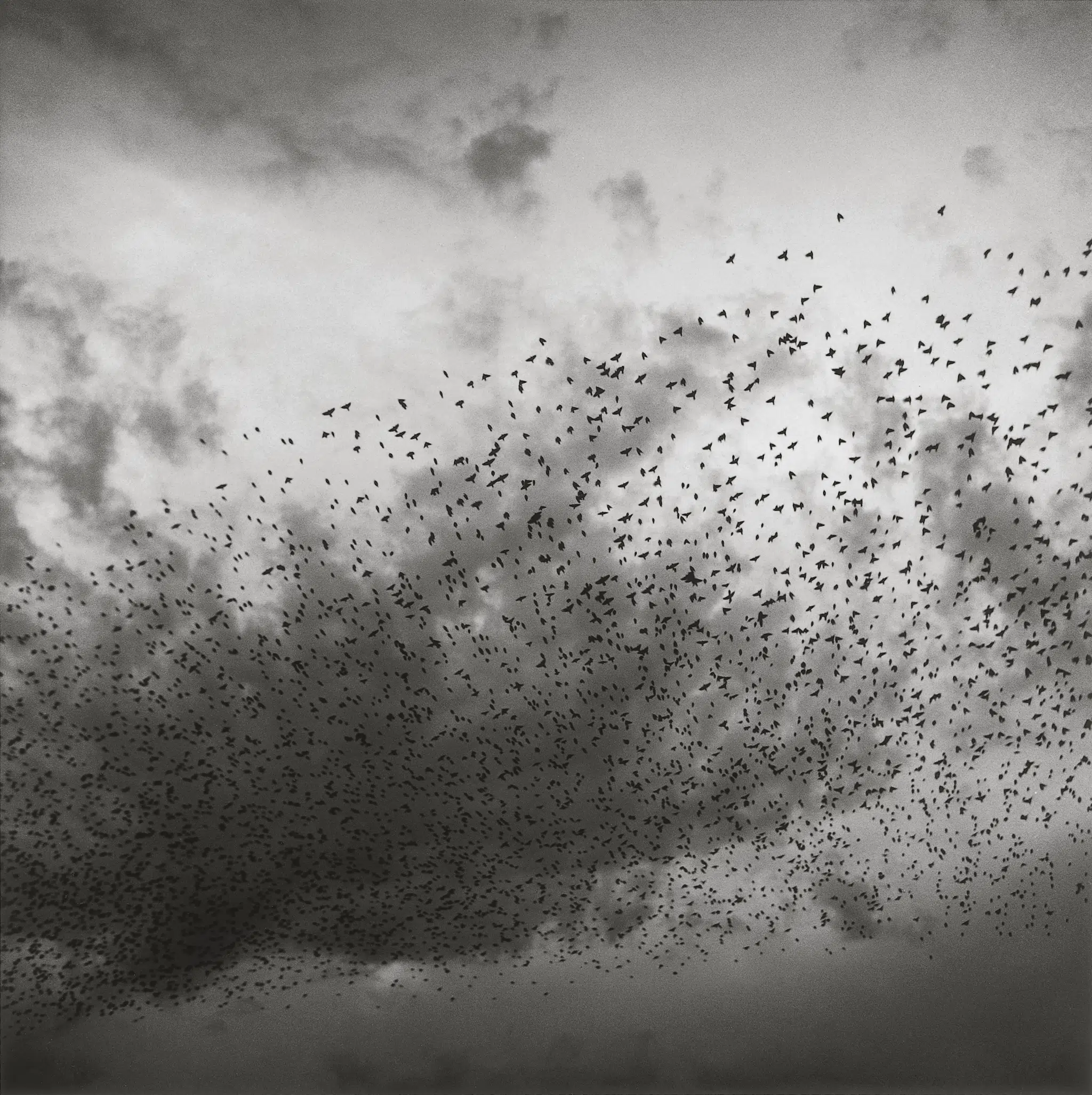 “Dolores Hidalgo, Guanajuato, México,” 1978. (Collection Fundación MAPFRE)