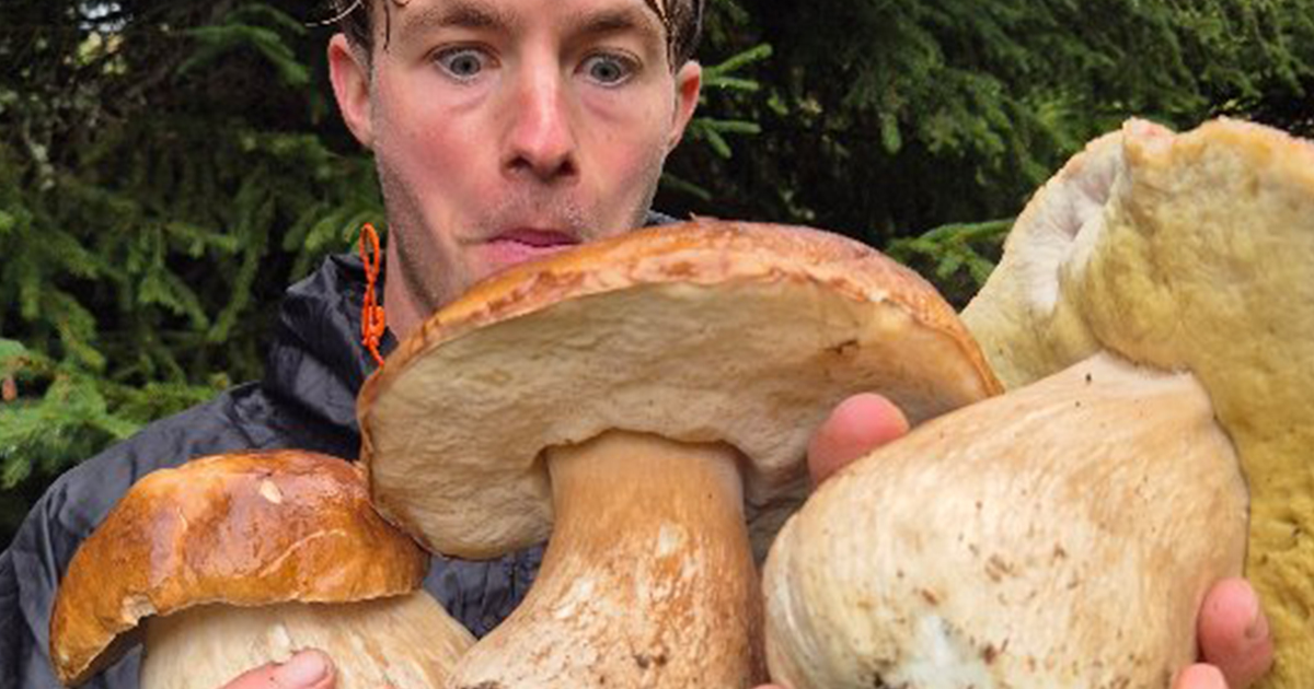 Italian Foragers Get Emotional When They Find Giant Porcini in the Wild