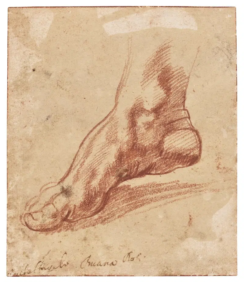 Drawing of the right foot of The Libyan Sibyl on the Sistine Chapel ceiling by Michelangelo
