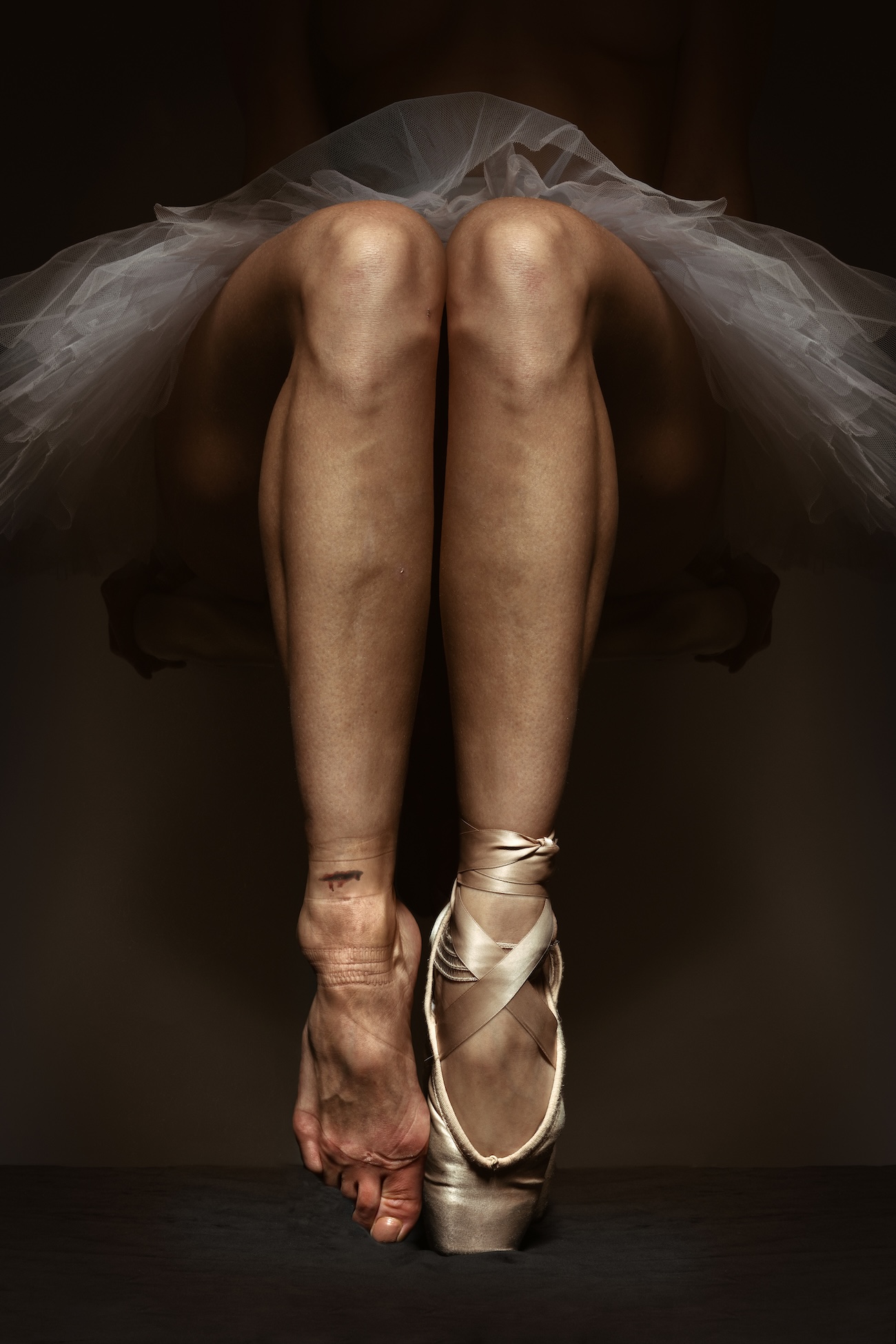 Society of Photographers Competition 2025