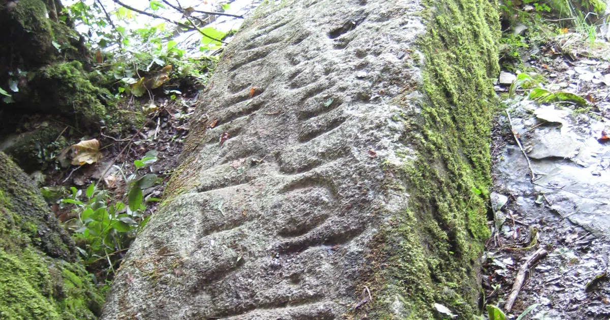 Linguists Are Creating the First-Ever Complete Dictionary of Ancient Celtic Languages