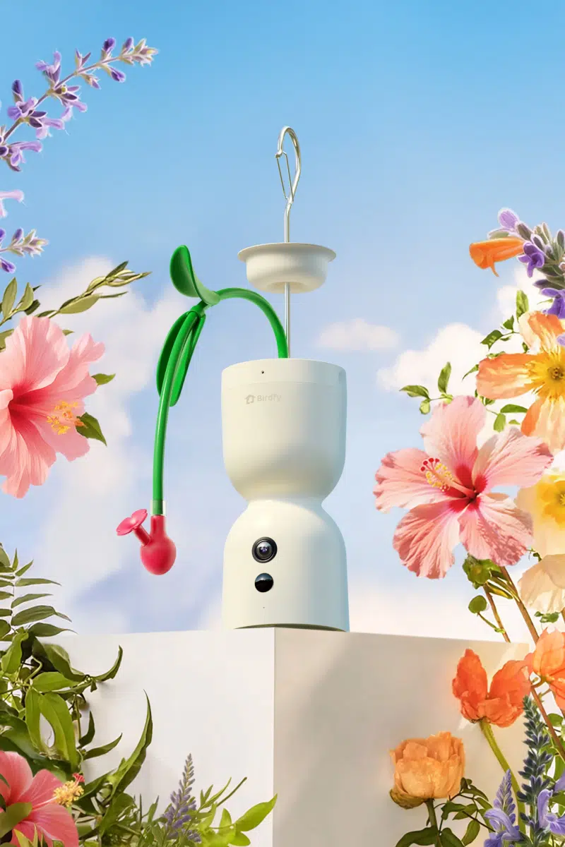 Birdfy Hum Bloom hummingbird feeder