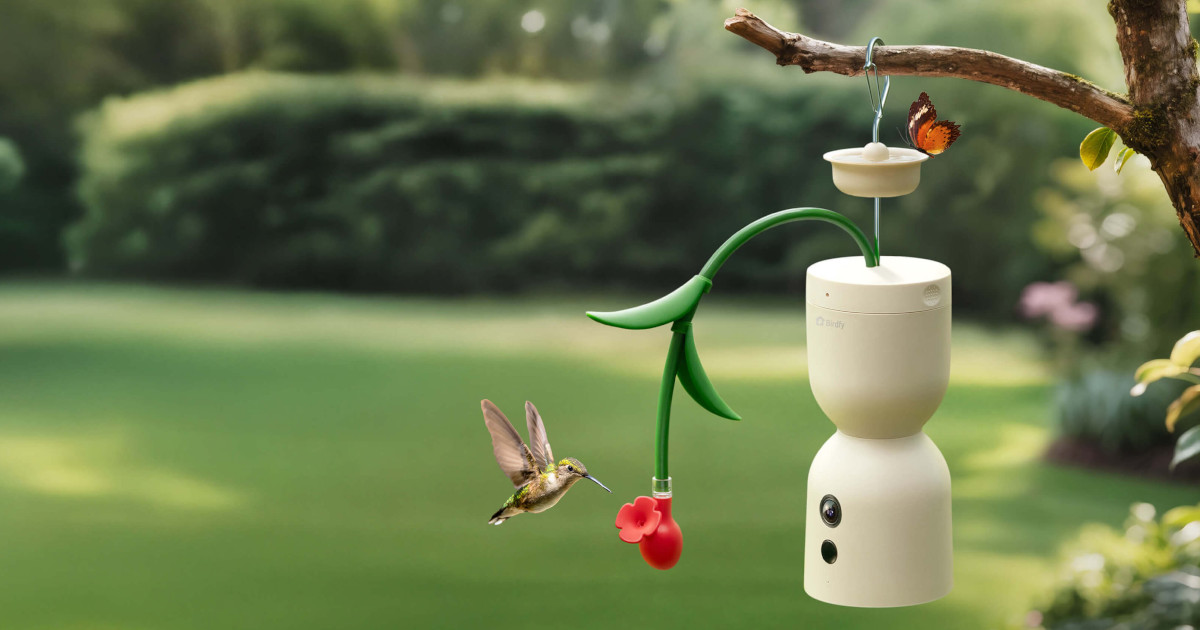 Smart Hummingbird Feeder Captures Slow-Motion Videos in 4K