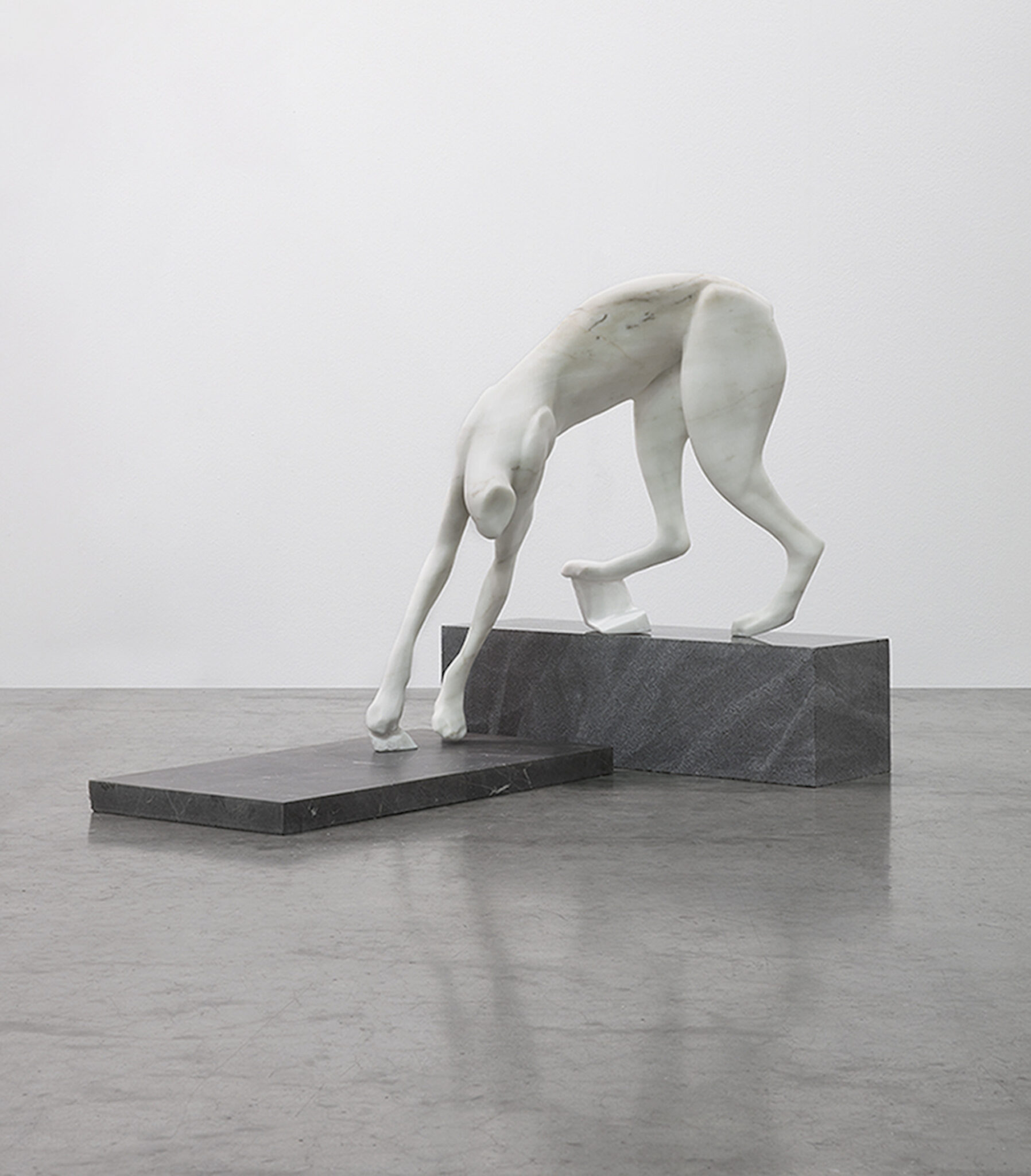 Nevine Mahmoud, &lsquo;Stalk her (lynx),&lsquo; 2024. (Courtesy of Sebastian Gladstone)