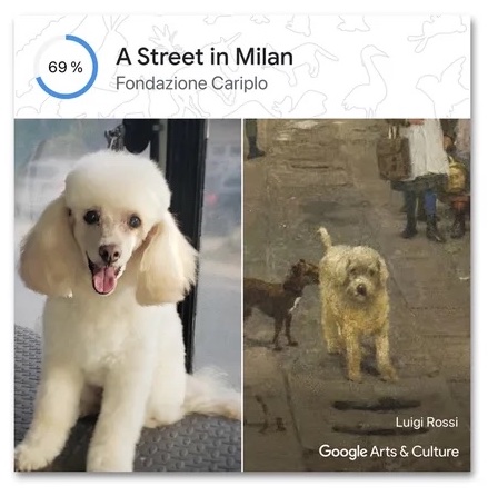 Google Arts and Culture Pet Portraits App
